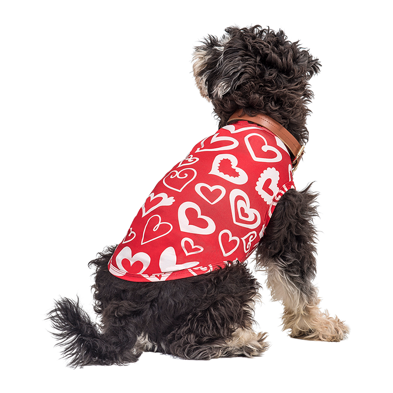 Vesta pre psa na Valentína Pup Outfit Pes v červenom vesti s valentínskym motívom, červeným a bielym srdcom, štýlový a sviatočný outfit pre psa.