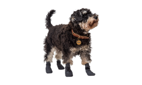 Športové ponožky do topánok pre psy Sada štyroch športových ponožiek pre psa v sivej farbe s protišmykovými podrážkami, ľahké, s protišmykovou gumou.