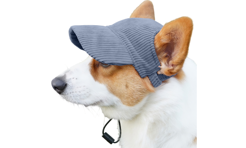 Corgi v priedušnej modrej rebrovanej športovej čiapke pre psov, ľahká, chráni pred slnkom počas letných výletov.