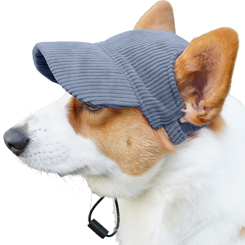 Dýchatelná športová čiapka pre Psa na Leto Corgi v priedušnej modrej rebrovanej športovej čiapke pre psov, ľahká, chráni pred slnkom počas letných výletov.