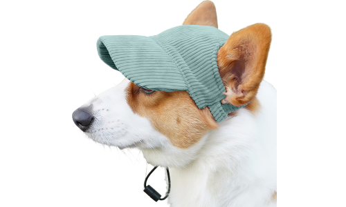 Corgi v priedušnej zelenej rebrovanej športovej čiapke pre psov, ľahká, chráni pred slnkom počas letných výletov.