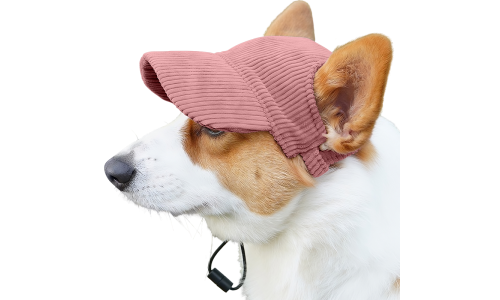 Corgi v priedušnej svetloružovej rebrovanej športovej čiapke pre psov, ľahká, chráni pred slnkom počas letných výletov.