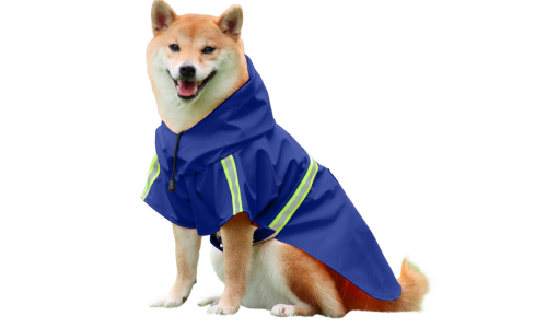 Shiba Inu v nepremokavom modrom plášti s reflexnými pásmi, ľahko sa dá obliecť, ideálny na daždivé prechádzky.