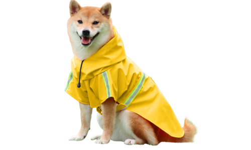 Shiba Inu v nepremokavom žltom plášti s reflexnými pásmi, ľahko sa dá obliecť, ideálny na daždivé prechádzky.