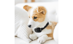 Obojek proti štěkání pro Psy bez Elektrických Výbojů Obojok proti šoku s dizajnom tlapičiek, nastaviteľný, vhodný pre psy vážiace 12 až 110 libier do 22 palcov.