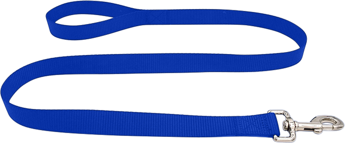 Základné Robustné Vodítko Pre Psa Modré nylonové vodítko pre psa, 120 cm, ľahko umývateľné, odolné, bezpečné, s pevnou striebornou karabínou.