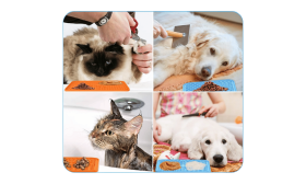 Netoxická Psí Lízacia Podložka so Špachtľou Netoxická Psí Lízacia Podložka so Špachtľou