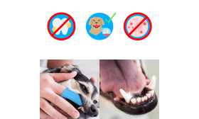 360º Silikónová Zubná Kefka na Prst pre Psov 360º Silikónová Zubná Kefka na Prst pre Psov