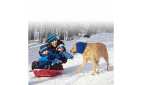 Anti-Anxiety Psí Snood na Ochranu pred Hlukom, Ušami a Zimou Anti-Anxiety Psí Snood na Ochranu pred Hlukom, Ušami a Zimou