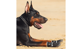 Reflexné Nepremokavé Topánky pre Psov 360° – Protišmykové a Ochranné na Labky Reflexné Nepremokavé Topánky pre Psov 360° – Protišmykové a Ochranné na Labky