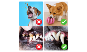 Interaktívna Hračka pre Psov – Gumená Loptička na Pamlsky a Žuvanie pre Mentálnu Stimuláciu Interaktívna Hračka pre Psov – Gumená Loptička na Pamlsky a Žuvanie pre Mentálnu Stimuláciu