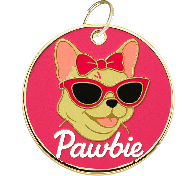 Pawbie Gravírovaná Psia Známka