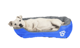 Mäkký pelech pre psa Mäkký pelech pre psa