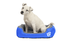 Mäkký pelech pre psa Mäkký pelech pre psa