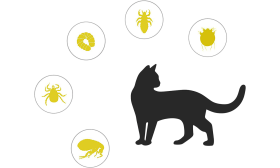 Prírodný obojok pre mačky proti blchám a kliešťom Prírodný obojok pre mačky, cielená ochrana pred blchami, kliešťami, larvami, všami a komármi.